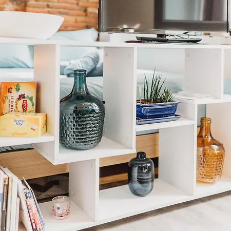 Studio Brique Bleue Avec Parking Prive Apartment Toulouse