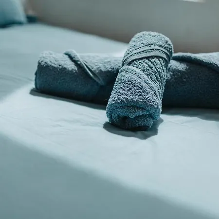 Studio Brique Bleue Avec Parking Prive Apartment Toulouse