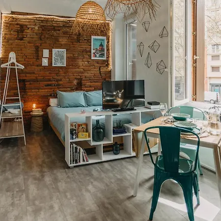 Studio Brique Bleue Avec Parking Prive Apartment *