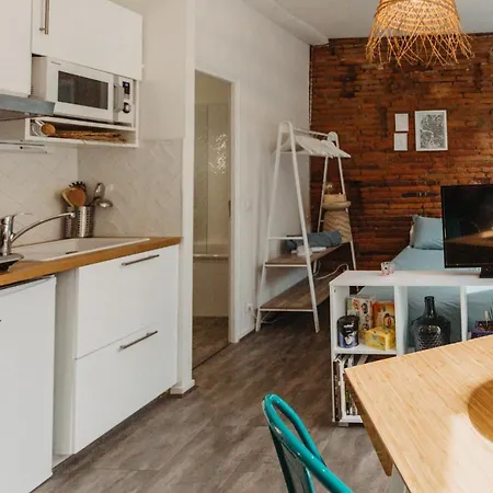 Studio Brique Bleue Avec Parking Prive Apartment *