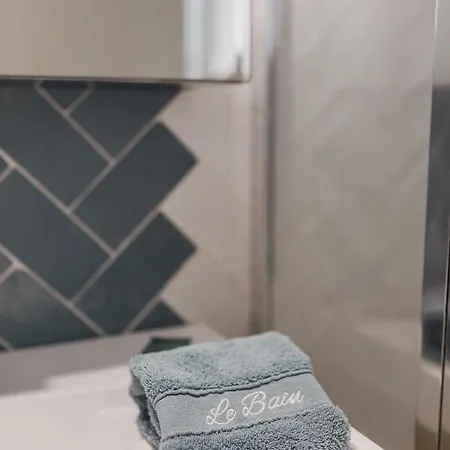 Apartment Studio Brique Bleue Avec Parking Prive *